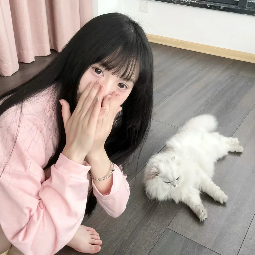 疯人日记